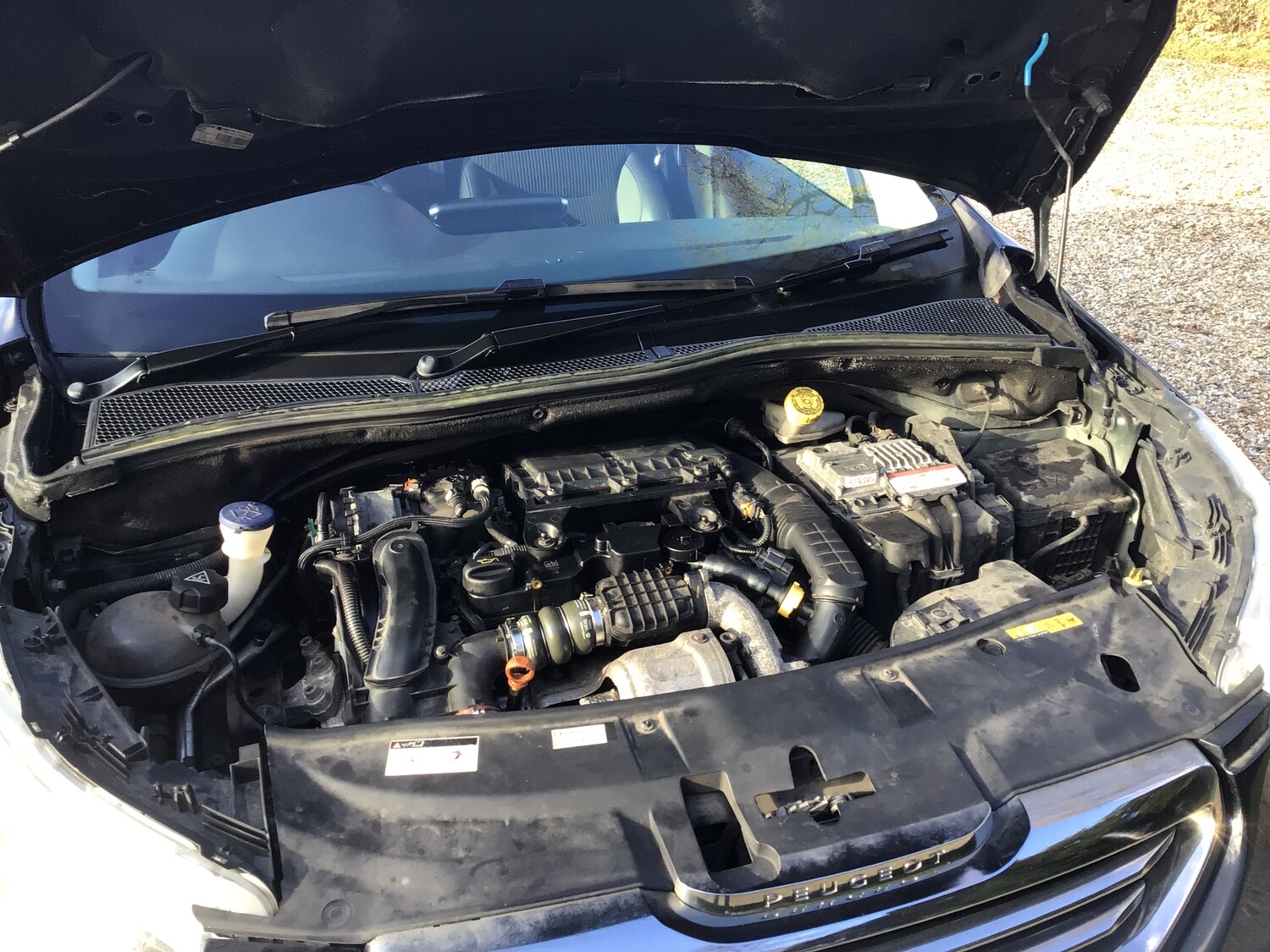 Used Peugeot 2008 2015 for sale - 77018437: Photo 24