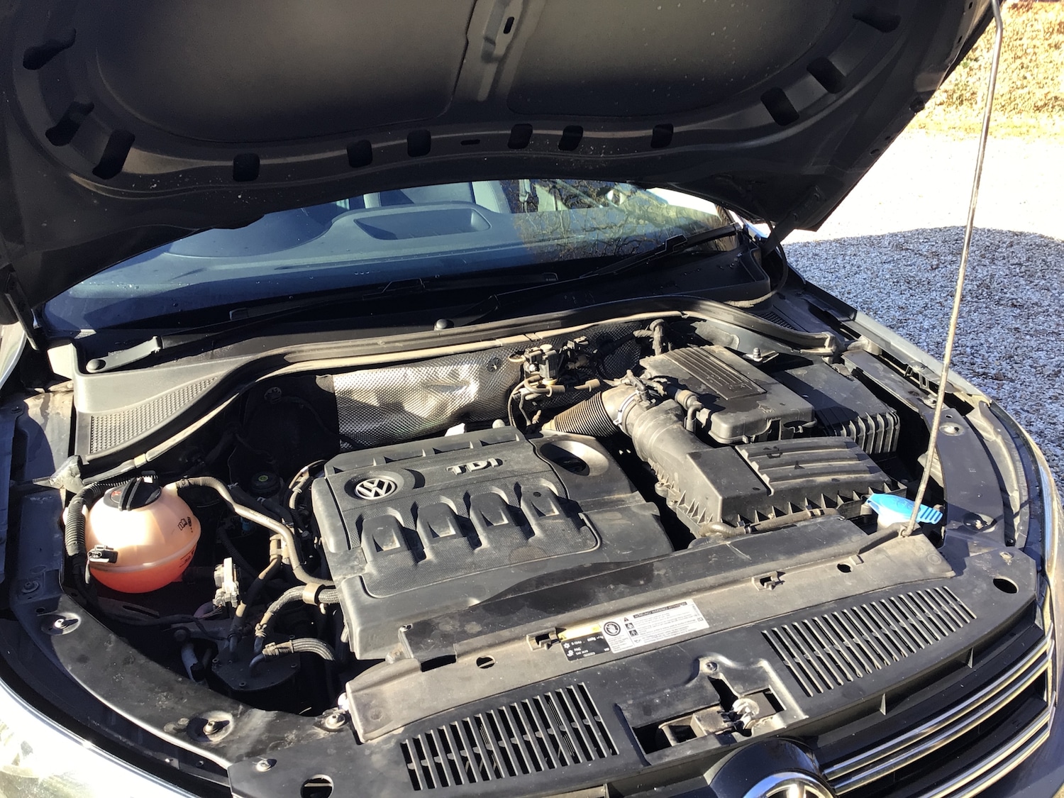 Used Volkswagen Tiguan 2015 for sale - 77100895: Photo 23