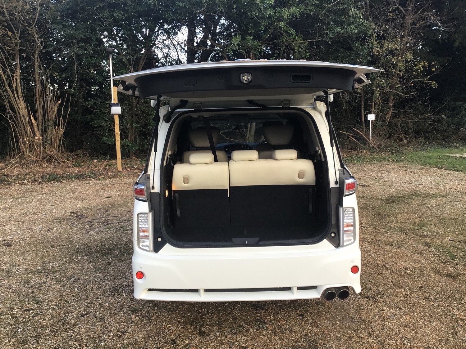 Used Nissan Elgrand 2024 for sale - 76711925: Photo 10