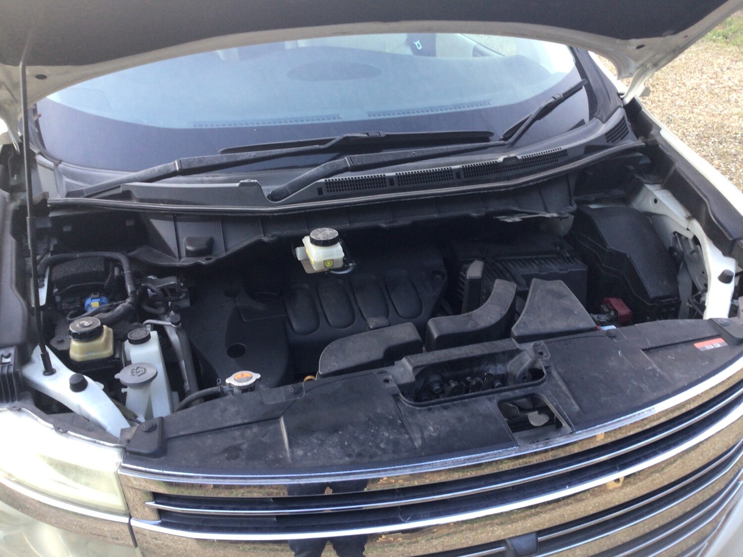 Used Nissan Elgrand 2024 for sale - 76711925: Photo 26