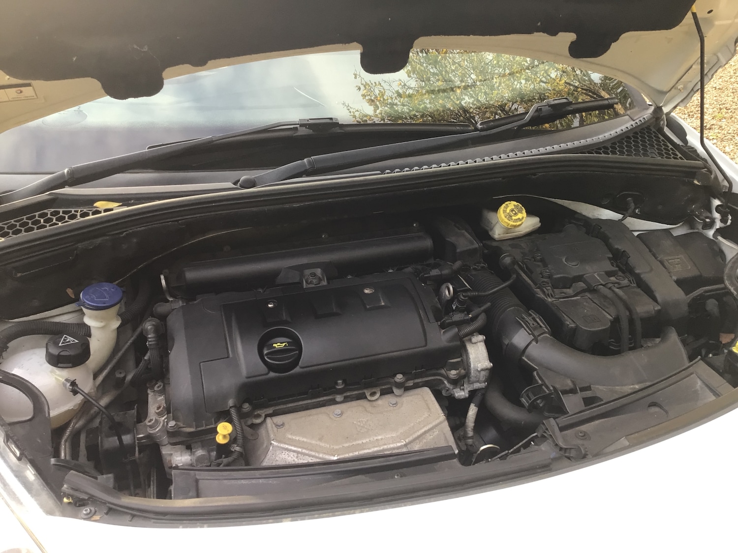 Used Citroen DS3 2013 for sale - 76514371: Photo 22