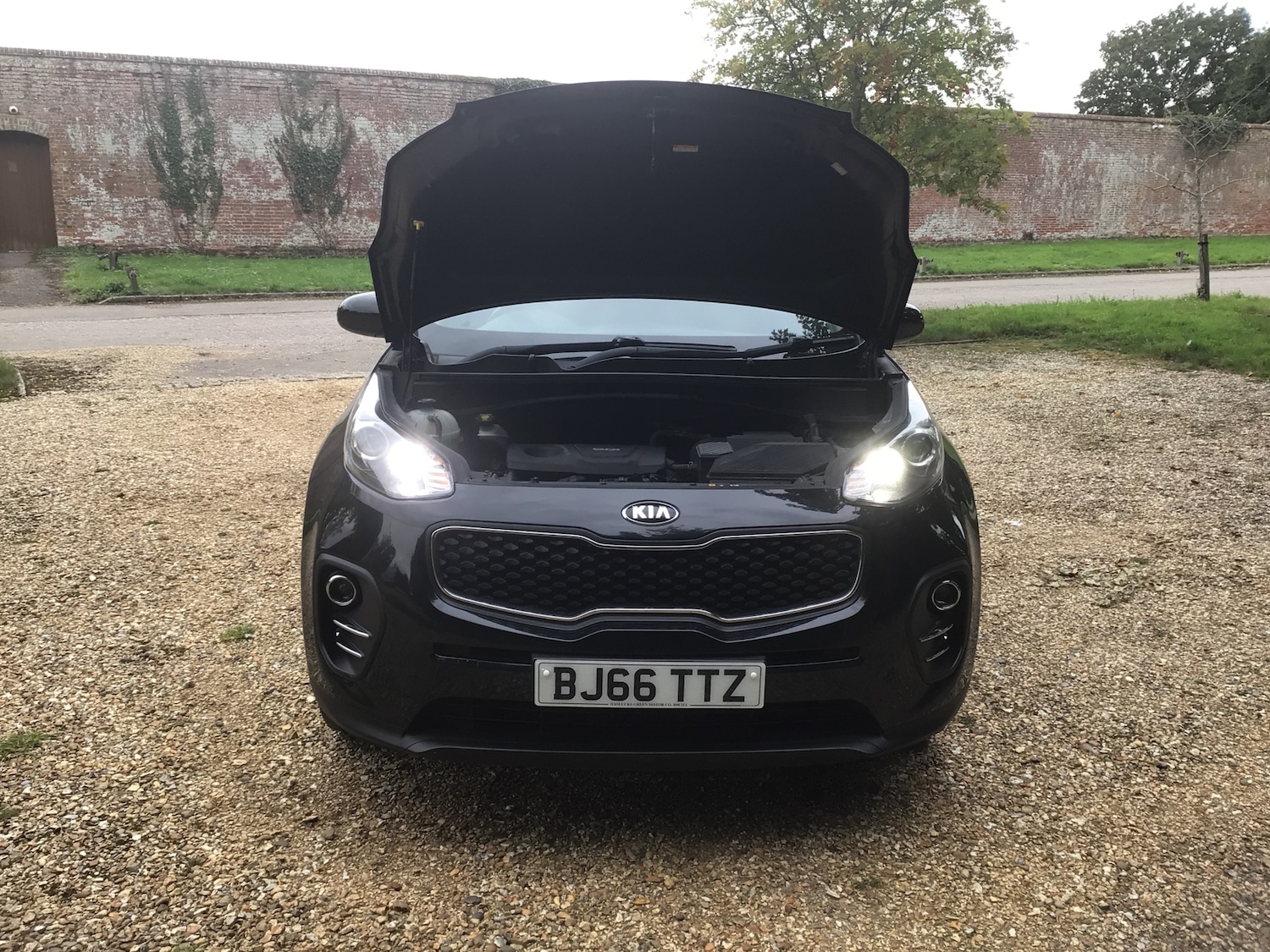 Used Kia Sportage 2016 for sale - 76514361: Photo 21