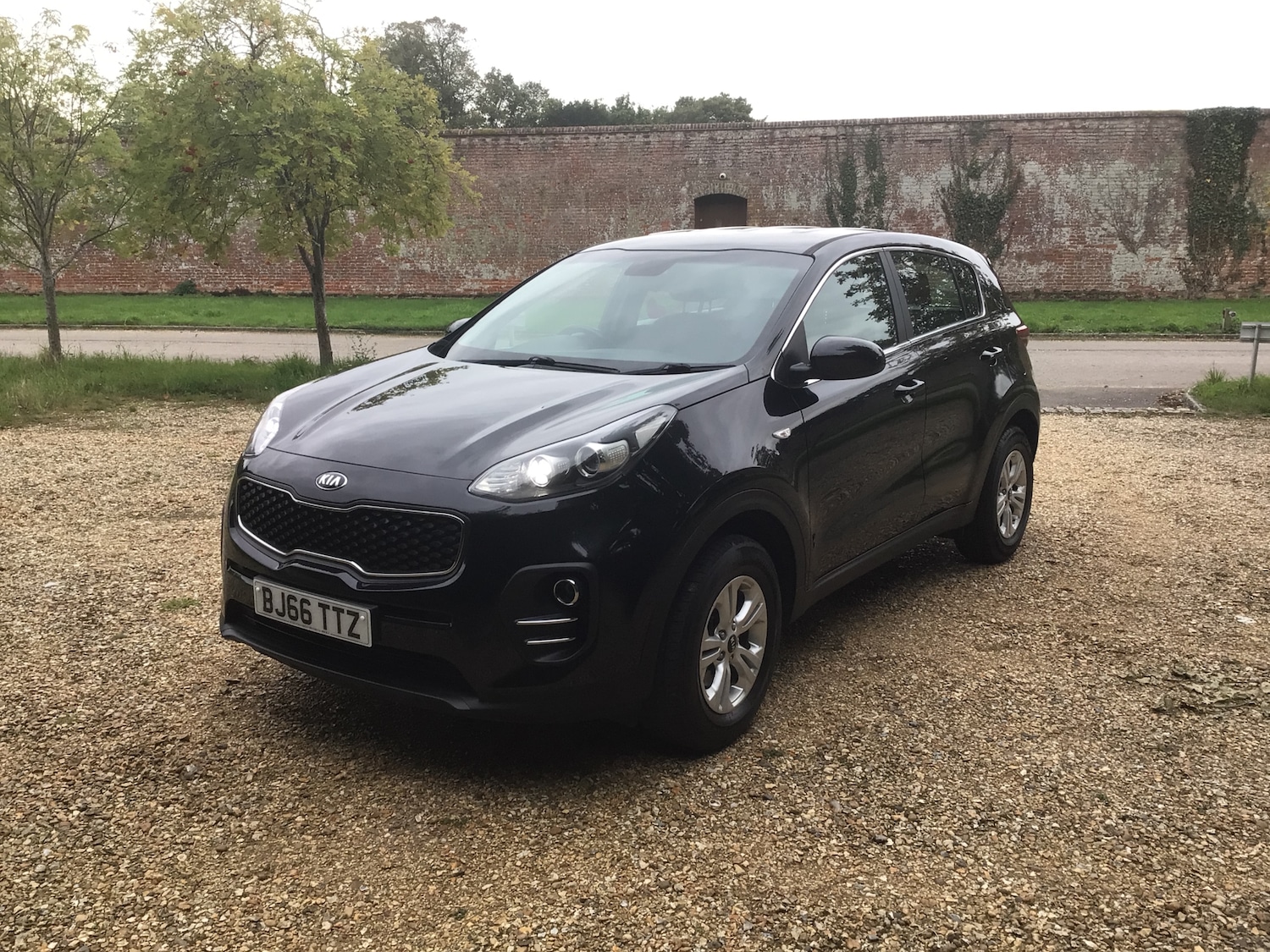 Used Kia Sportage 2016 for sale - 76514361: Photo 5