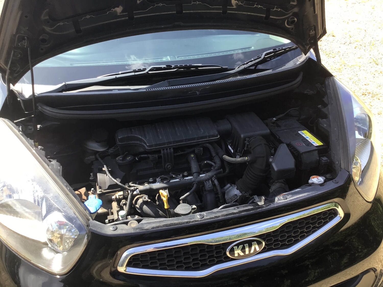 Used Kia Picanto 2015 for sale - 76514358: Photo 22