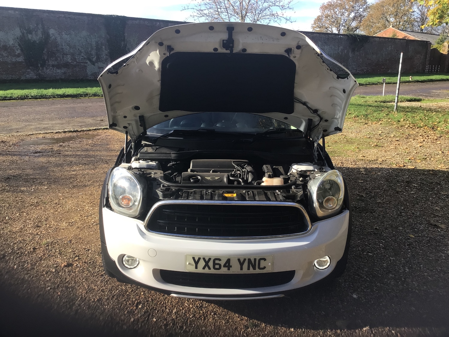 Used MINI Countryman 2014 for sale - 76581229: Photo 24