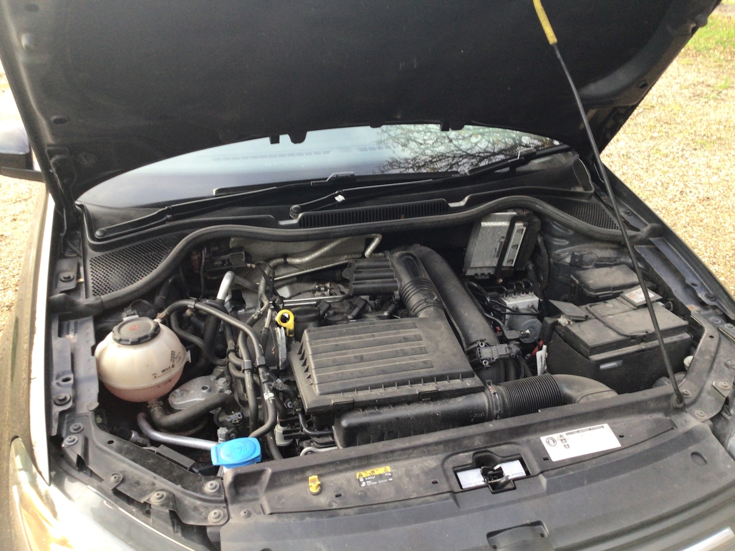 Used Volkswagen Polo 2017 for sale - 76685527: Photo 23