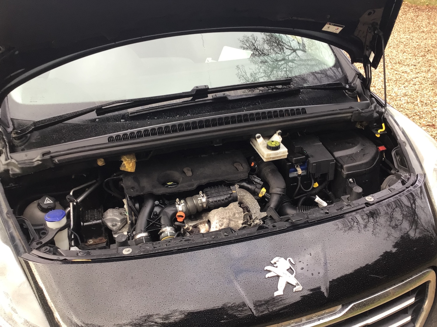 Used Peugeot 3008 2015 for sale - 76623766: Photo 22