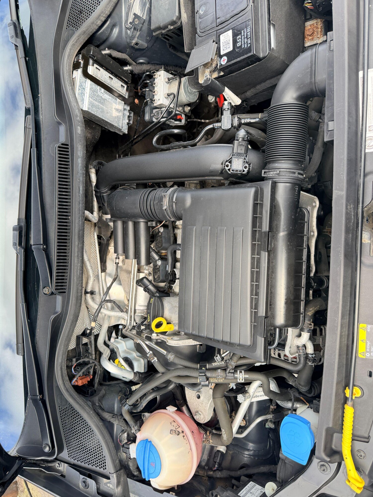 Used Volkswagen Polo 2017 for sale - 77838853: Photo 23