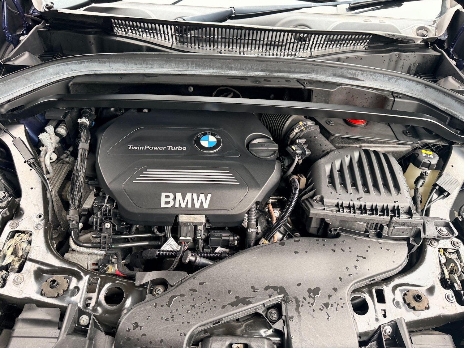 Used BMW X1 2017 for sale - 76424541: Photo 38