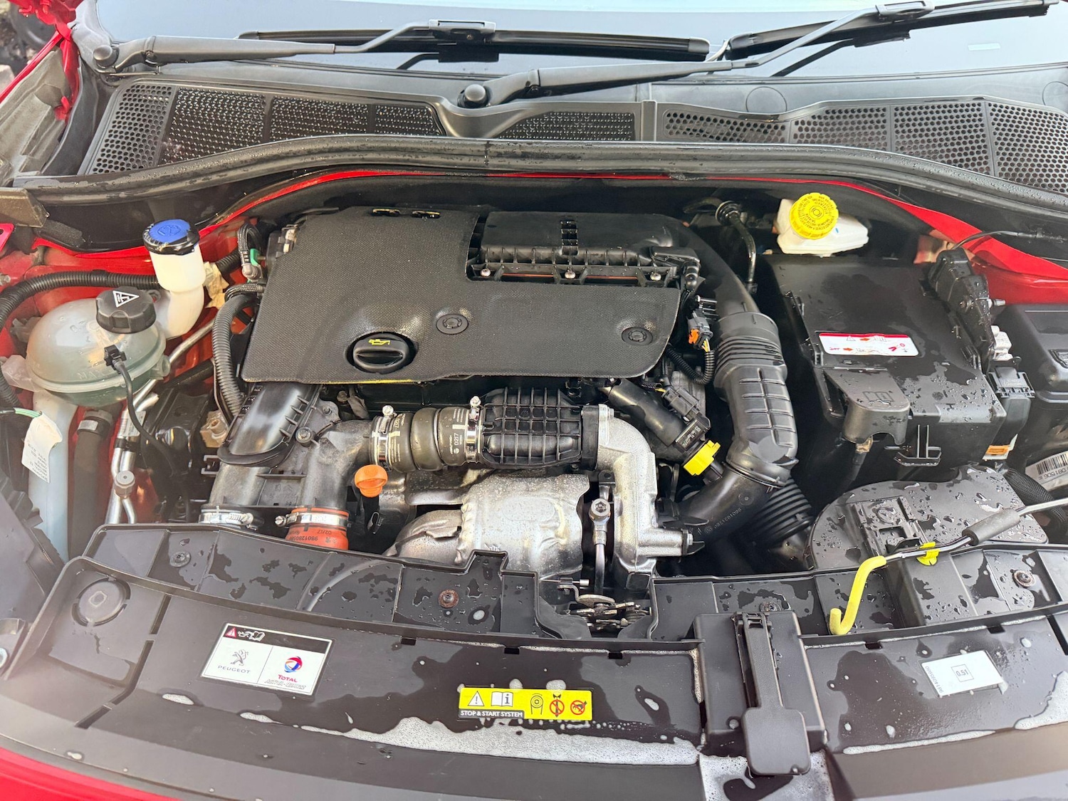 Used Citroen C4 Cactus 2018 for sale - 76701177: Photo 25