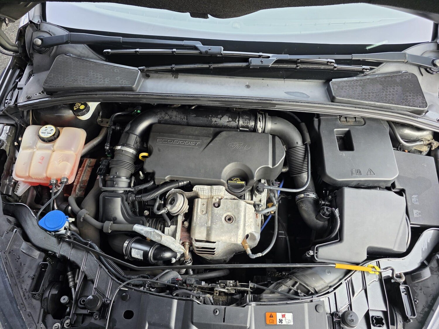 Used Ford Focus for sale - 77585950: Photo 24