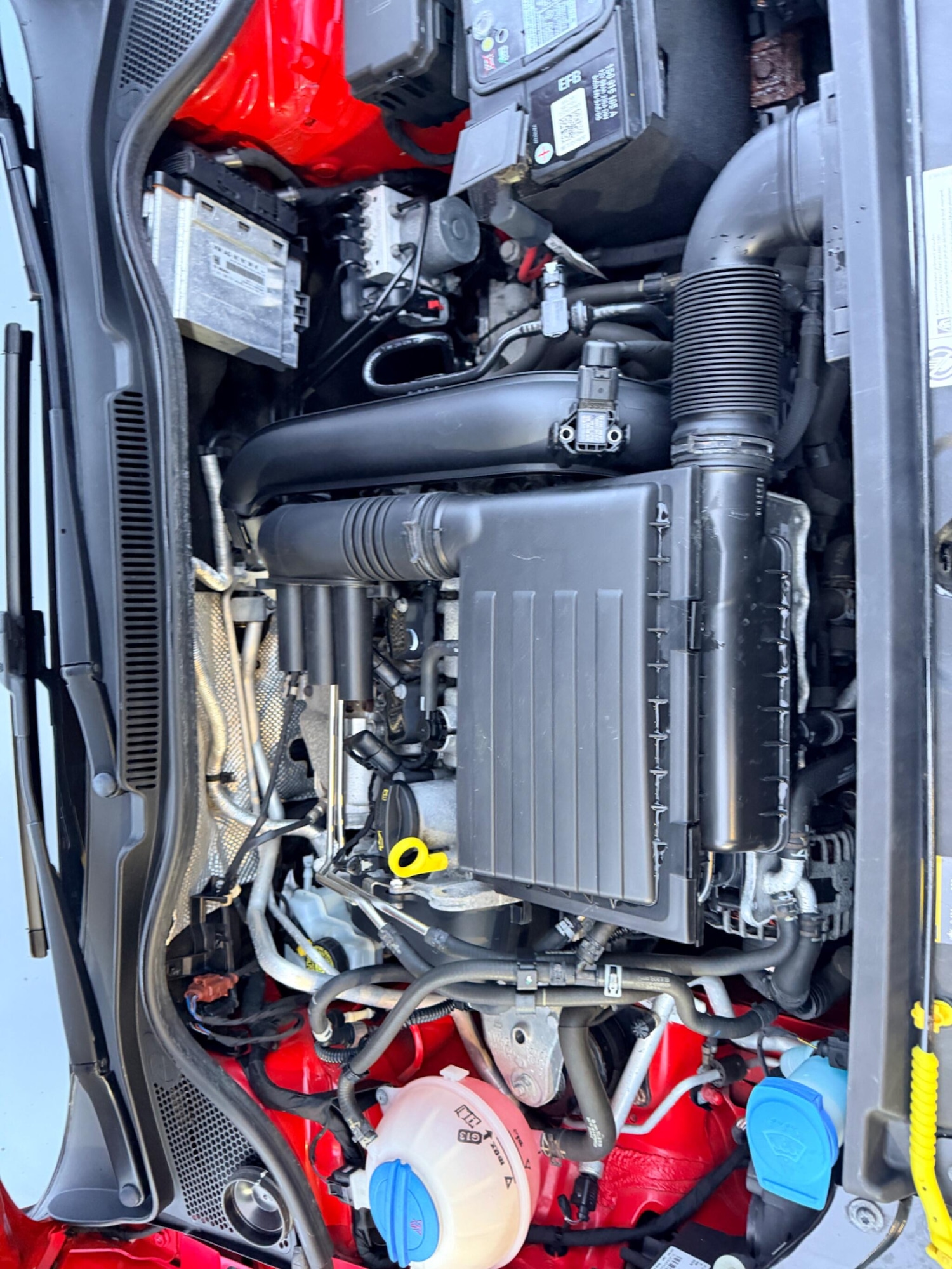 Used Volkswagen Polo for sale - 77882624: Photo 22