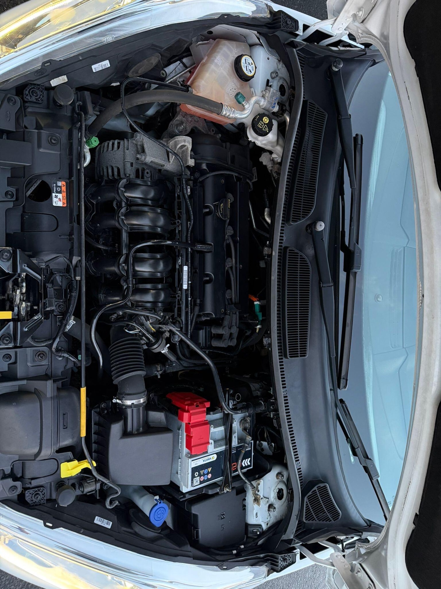 Used Ford Fiesta 2017 for sale - 76976501: Photo 19