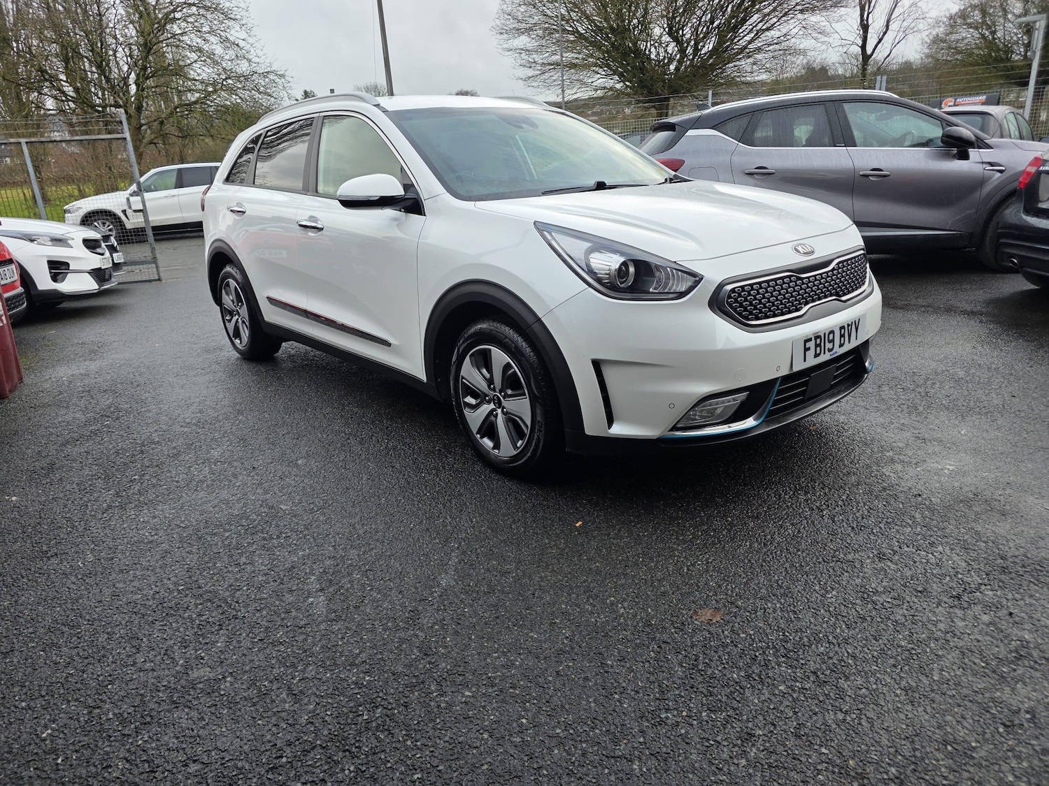 Used Kia Niro for sale - 78128137: Photo 1
