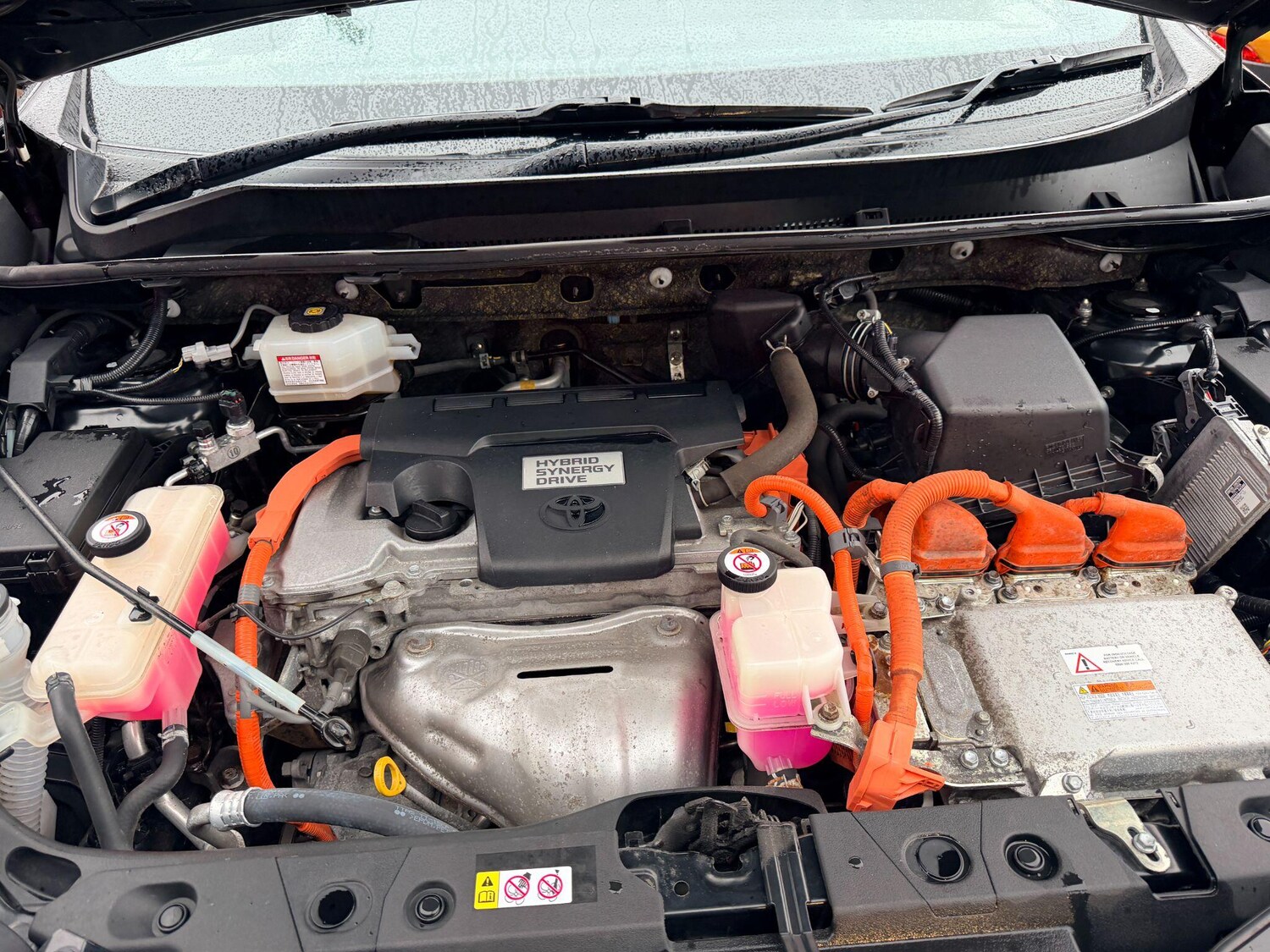 Used Toyota RAV4 2019 for sale - 77909433: Photo 24