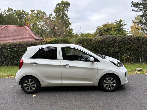 Used Kia Picanto 2016 for sale - 76306272: Photo 13