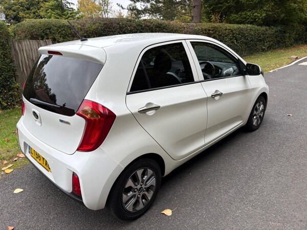 Used Kia Picanto 2016 for sale - 76306272: Photo 16