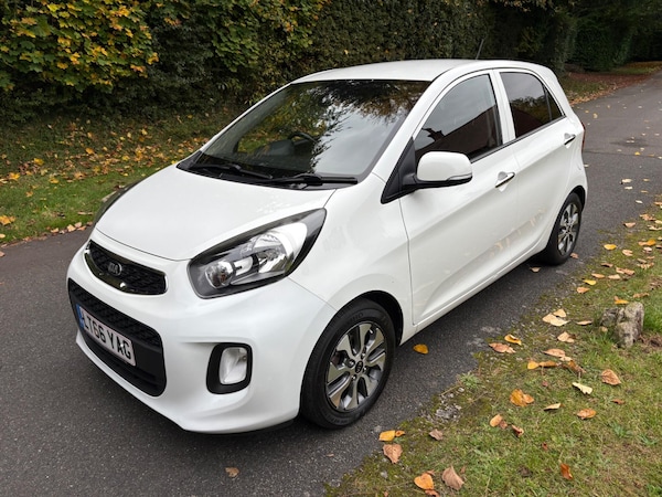Used Kia Picanto 2016 for sale - 76306272: Photo 1