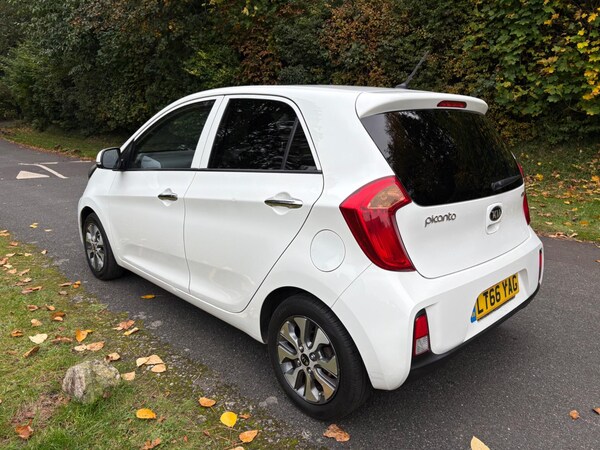 Used Kia Picanto 2016 for sale - 76306272: Photo 4