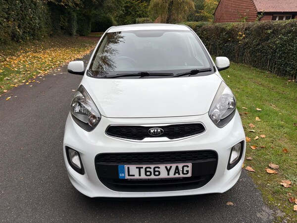 Used Kia Picanto 2016 for sale - 76306272: Photo 7