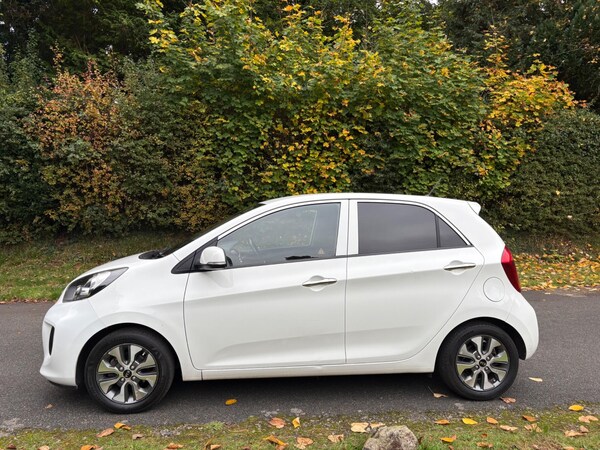 Used Kia Picanto 2016 for sale - 76306272: Photo 9