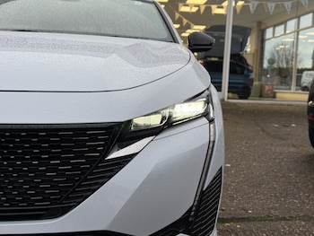 Used Peugeot 308 2024 for sale - 77413310: Photo