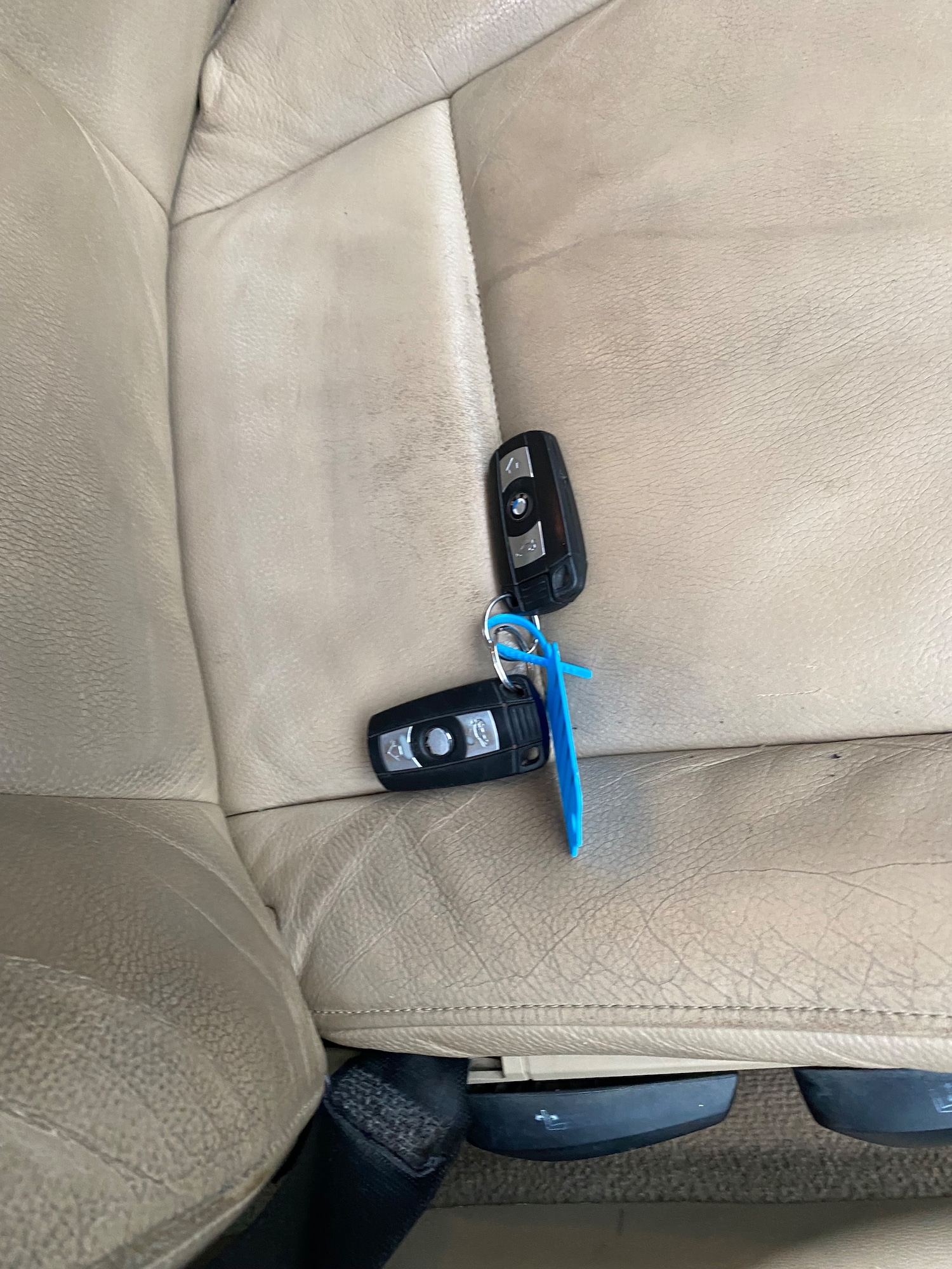 Used BMW 3 Series for sale - 76669258: Photo 37