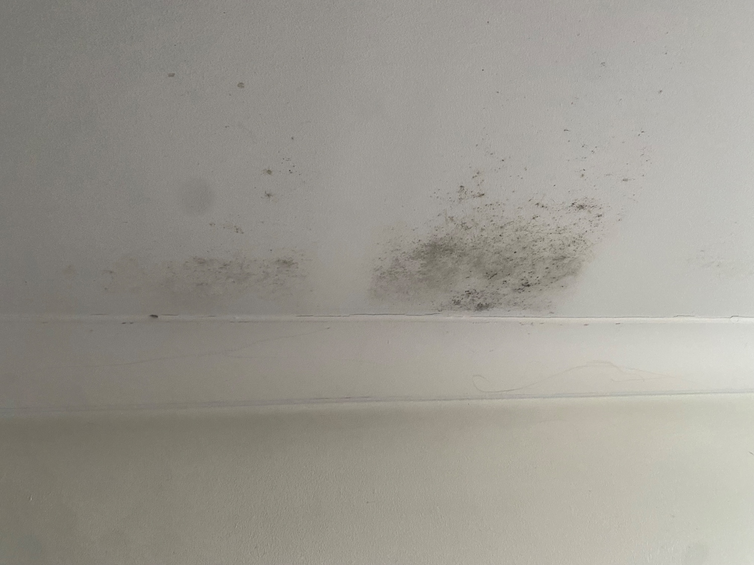 Used BMW 3 Series for sale - 77401414: Photo 33