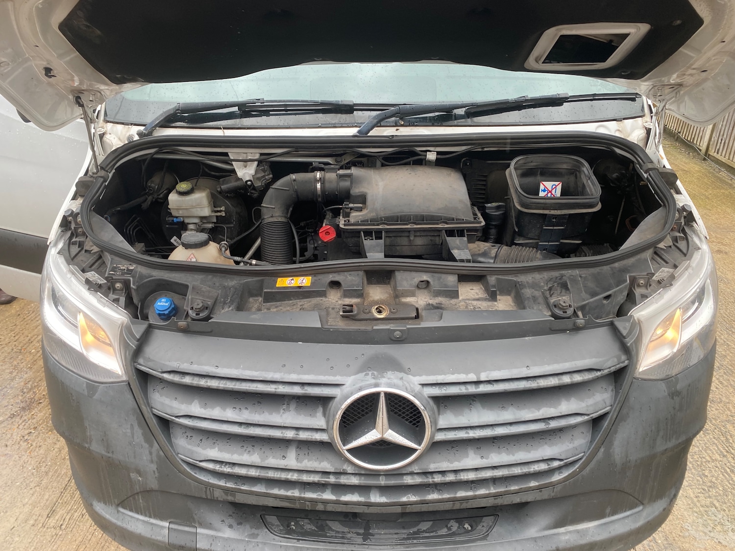 Used Mercedes-Benz Sprinter 2019 for sale - 76416517: Photo 25