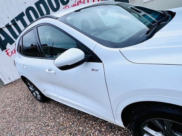 Used Ford Kuga 2021 for sale - 77754836: Photo 11