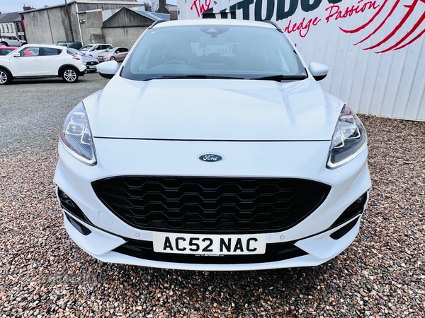 Used Ford Kuga 2021 for sale - 77754836: Photo 12