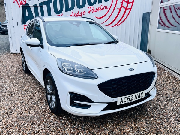 Used Ford Kuga 2021 for sale - 77754836: Photo 2