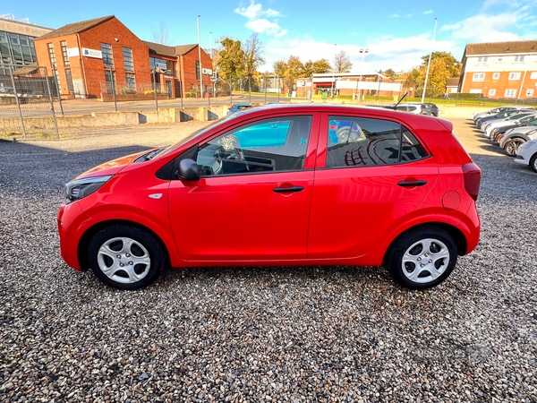 Used Kia Picanto 2022 for sale - 76350258: Photo 13