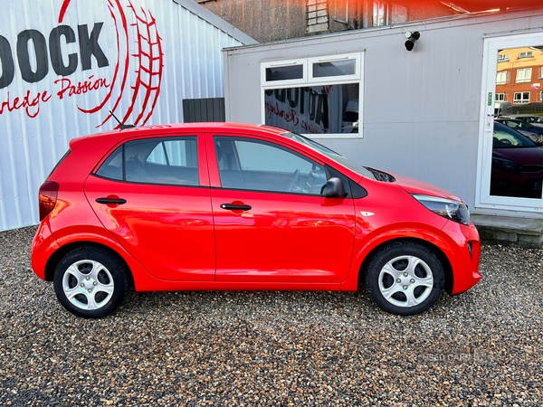 Used Kia Picanto 2022 for sale - 76350258: Photo 3