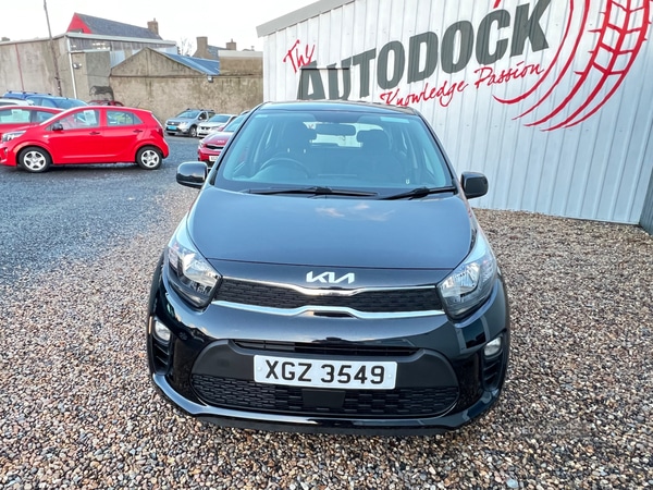 Used Kia Picanto 2022 for sale - 76729391: Photo 11