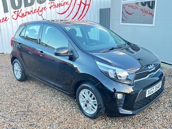 Used Kia Picanto 2022 for sale - 76729391: Photo