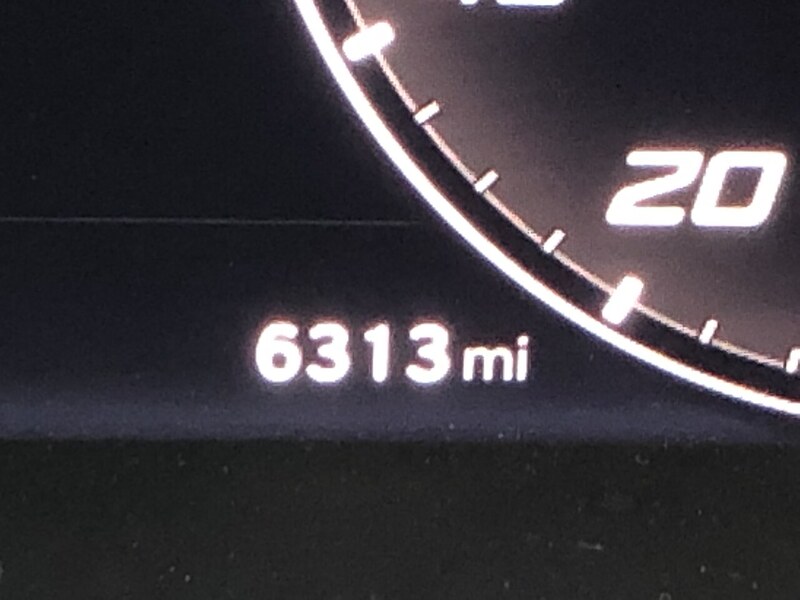 Used SEAT Ibiza 2024 for sale - 77365299: Photo 77