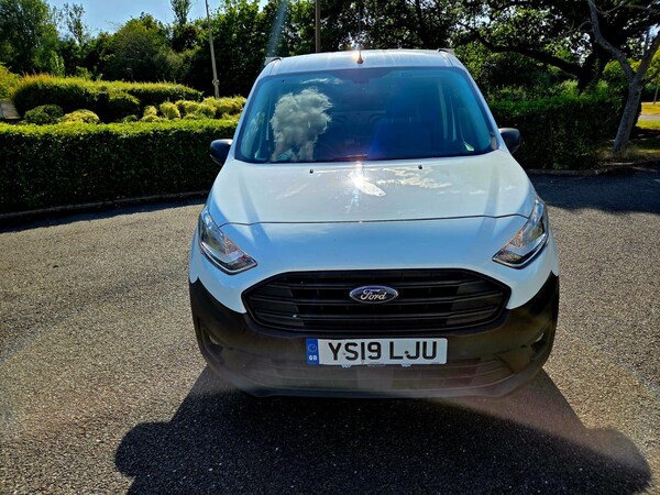 Used Ford Transit Connect 2019 for sale - 75232637: Photo 10