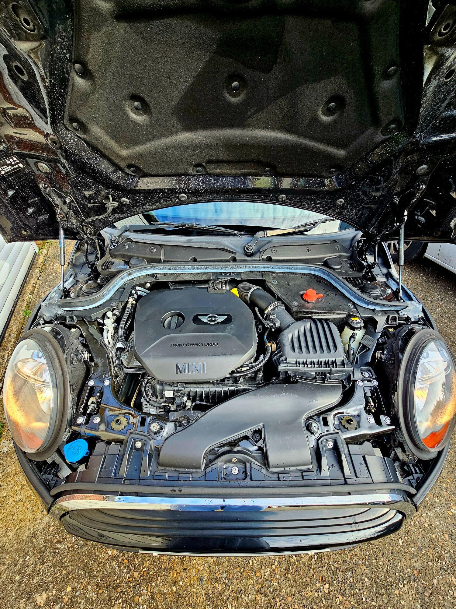 Used MINI Hatch for sale - 77909427: Photo 30