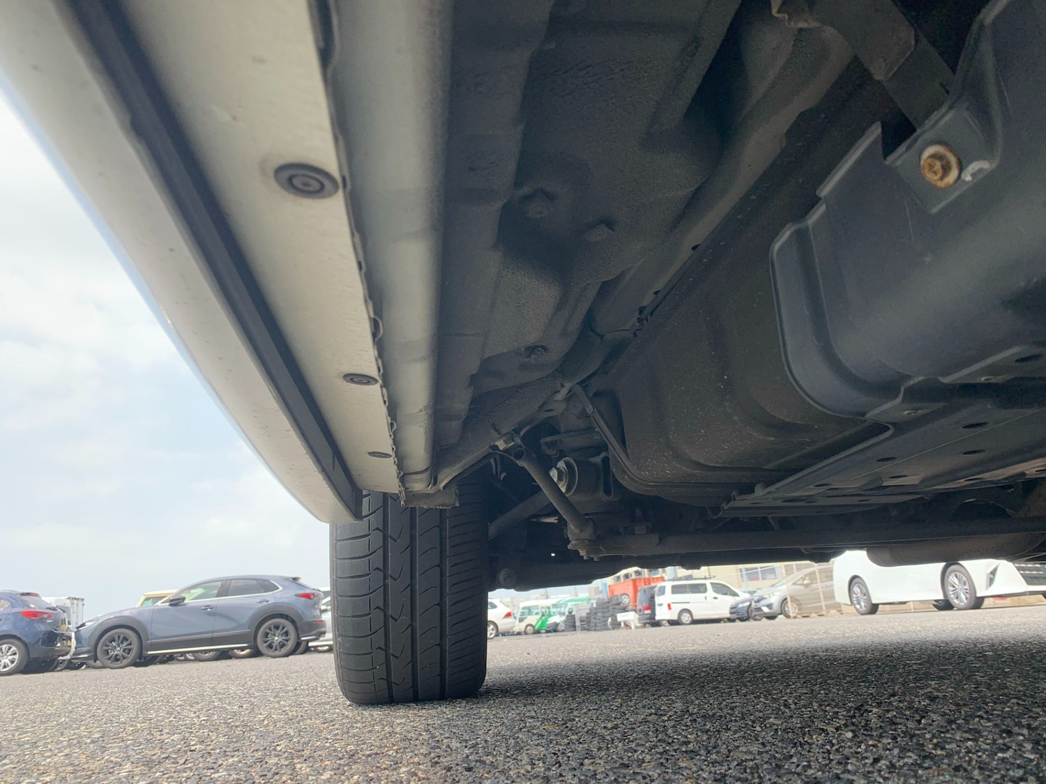 Used Nissan Elgrand 2009 for sale - 76334950: Photo 17