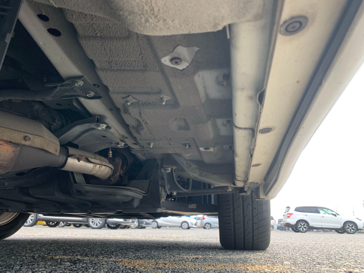 Used Nissan Elgrand 2009 for sale - 76334950: Photo 18