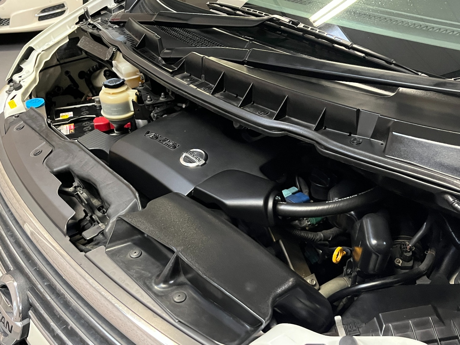 Used Nissan Elgrand 2009 for sale - 76334950: Photo 44