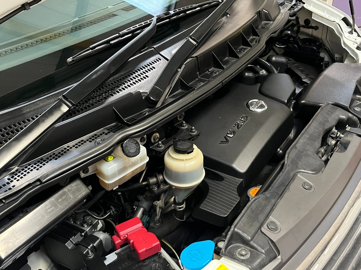 Used Nissan Elgrand 2009 for sale - 76334950: Photo 45