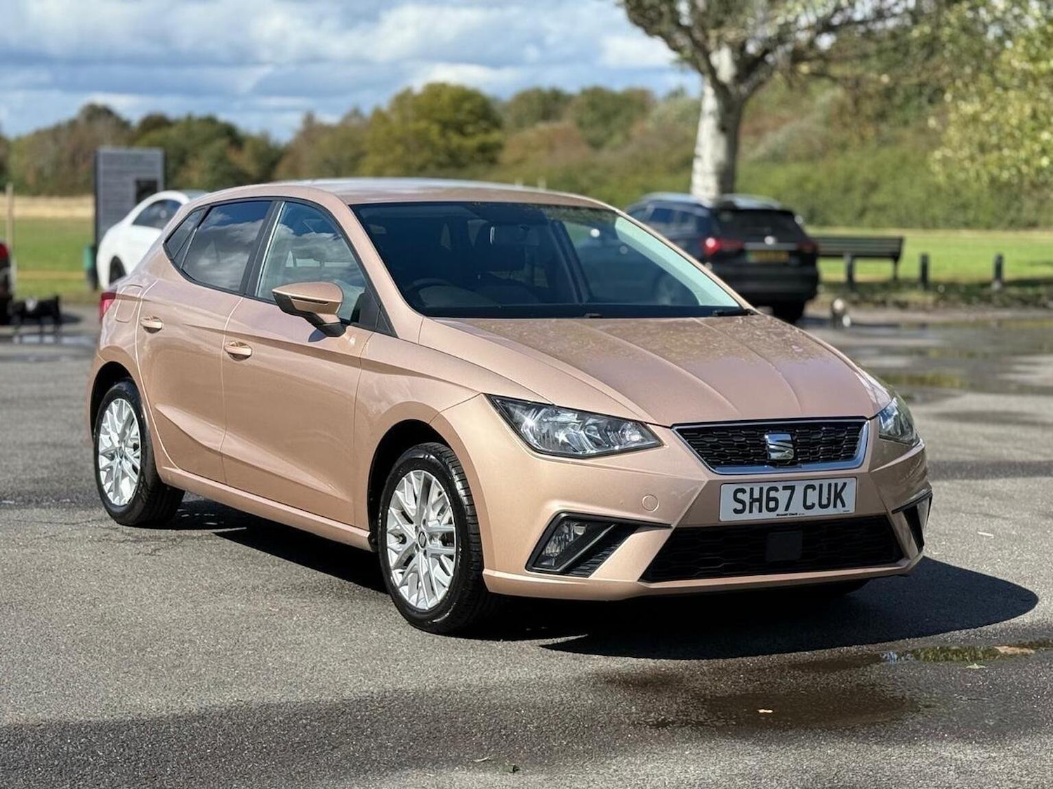 Used SEAT Ibiza 2017 for sale - 76158429: Photo 1