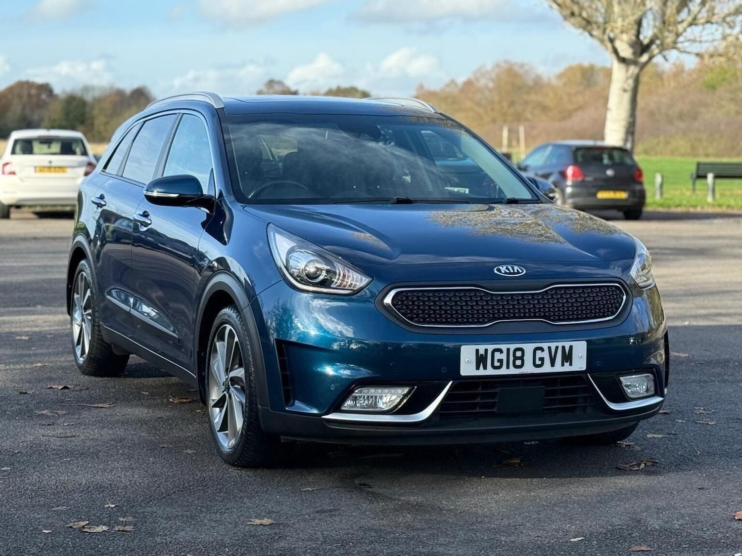 Used Kia Niro 2018 for sale - 76769796: Photo 1