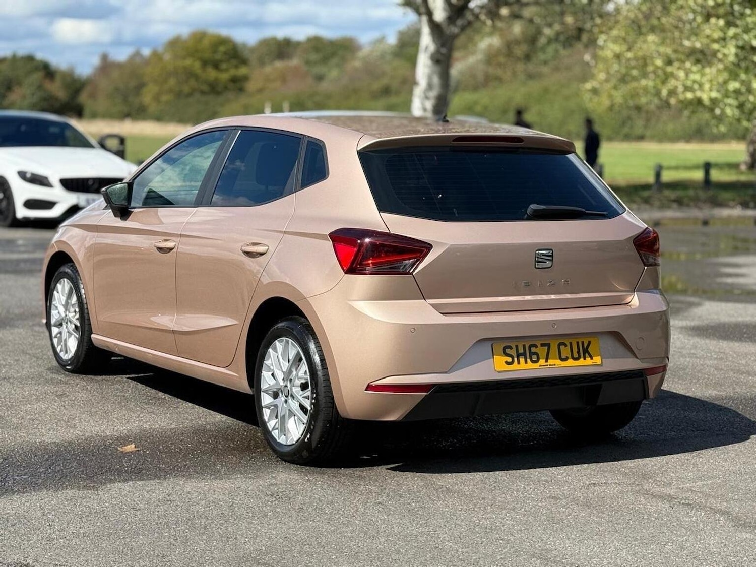 Used SEAT Ibiza 2017 for sale - 76793776: Photo 19
