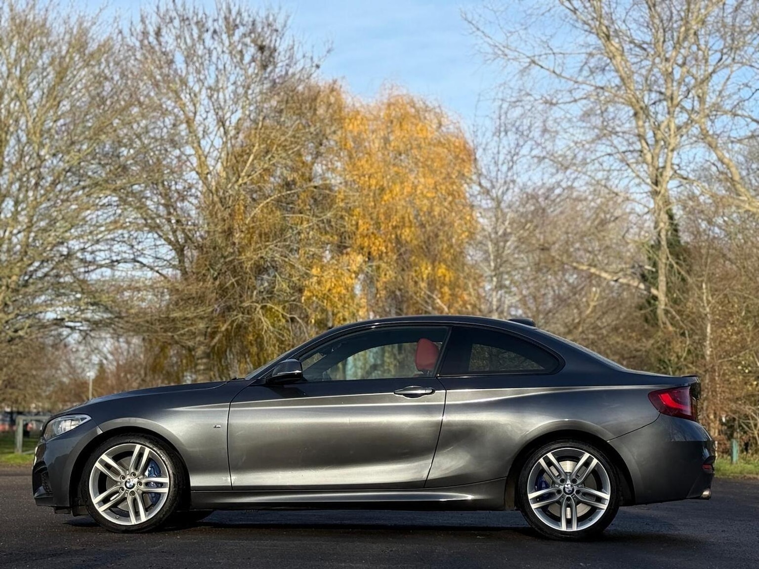 Used BMW 2 Series 2017 for sale - 76963310: Photo 10