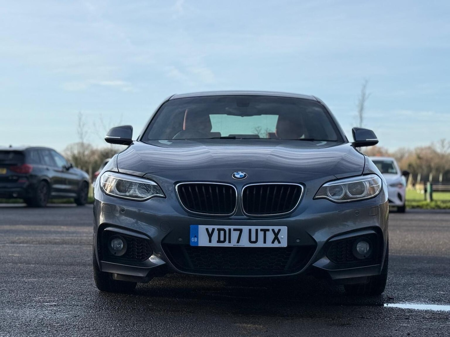 Used BMW 2 Series 2017 for sale - 76963310: Photo 14