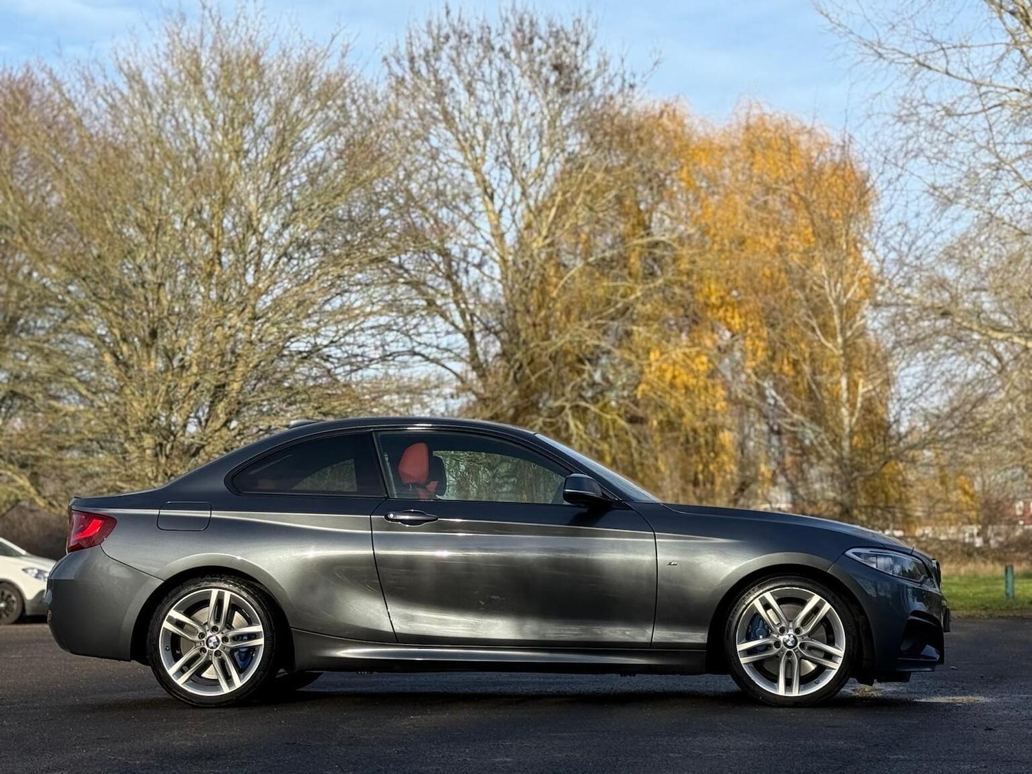 Used BMW 2 Series 2017 for sale - 76963310: Photo 9