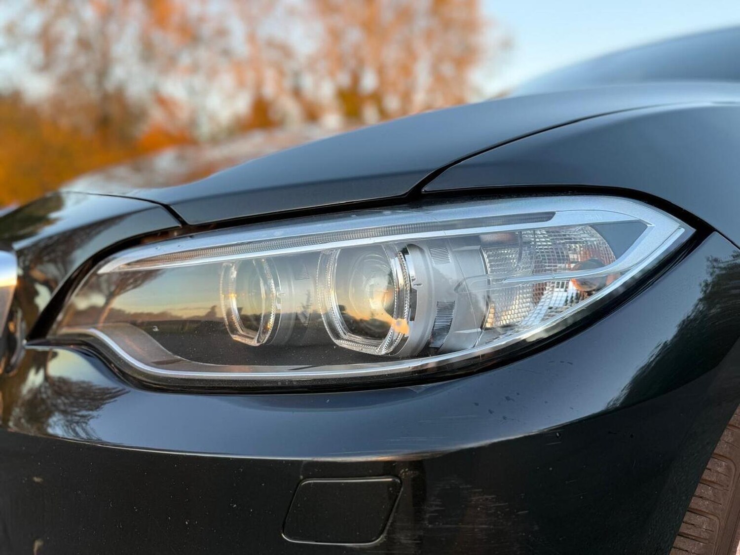 Used BMW 2 Series 2016 for sale - 76439853: Photo 41